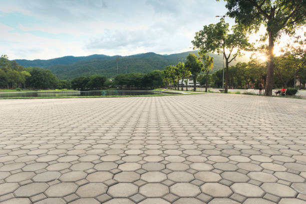 Best Residential Paver Driveway  in Trevorton, PA